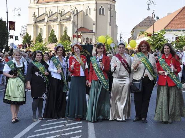 Móri Borvidék TDM Egyesület