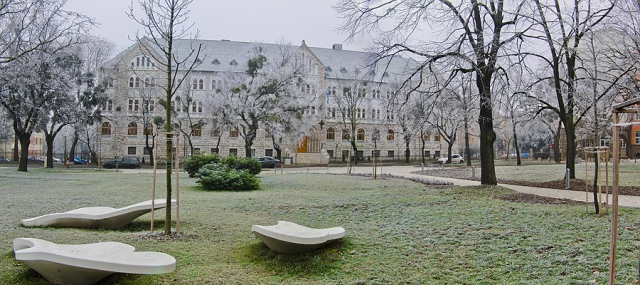 Pécsi Tudományegyetem