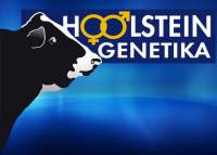 Holstein Genetika Kft