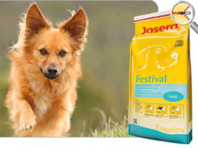 Széktói Kutyaszalon