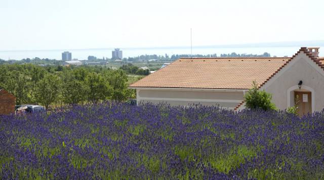 KOCZOR PINCÉSZET és VENDÉGFOGADÓ