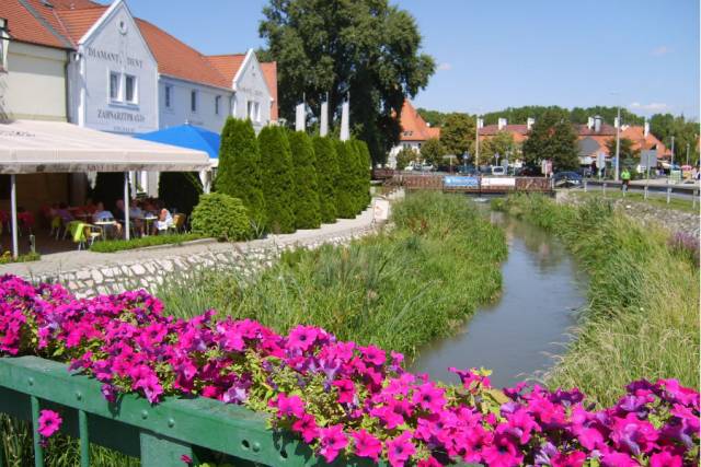 Mosonmagyaróvár Város Önkormányzata