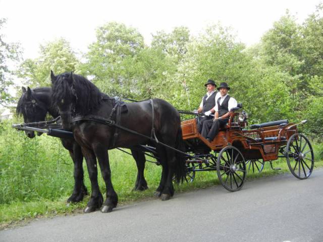 Septimia Resort- Hotel, Spa & Wellness