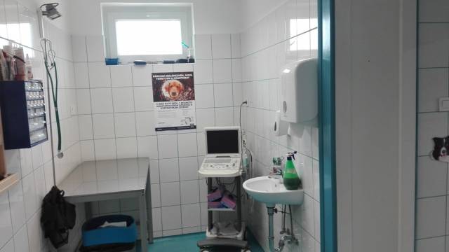 KEDVENC MESTER ÁLLATKÓRHÁZ