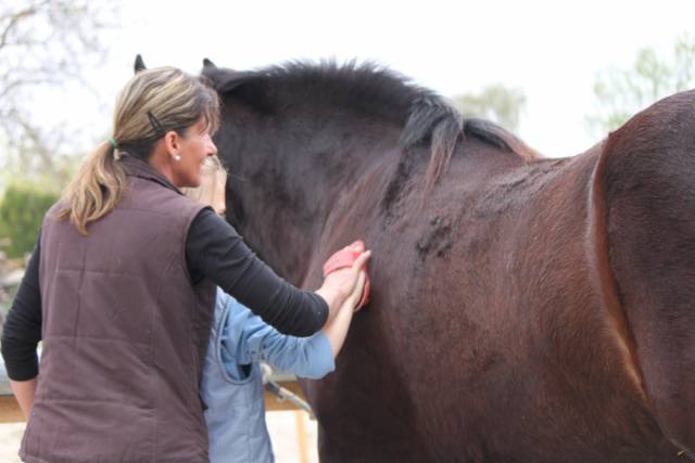 Rárói Lovasklub és Panzió
