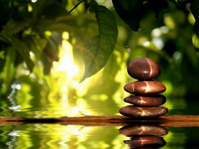 Sziky Enikő Márta természetgyógyász