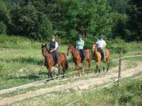 Pasaréti Honvéd Lovarda
