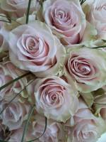 Virágūzlet NATUR-KA