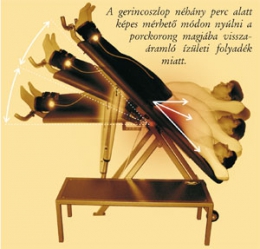Egészség Kuckó