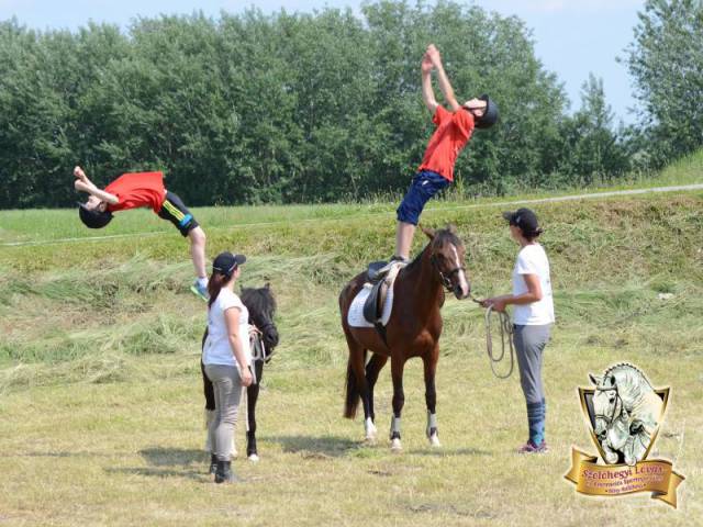 Szőlőhegyi Lovastanya