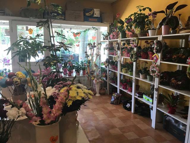Mosoly virágüzlet