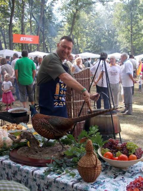 VADEX Mezőföldi Erdő-és Vadgazdálkodási Zrt.