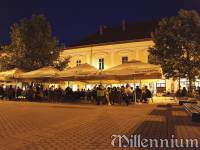 Millenium - restaurant, cofetărie, cramă