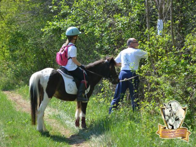 Szőlőhegyi Lovastanya