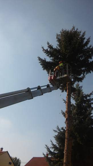 VESZÉLYES FAVÁGÁS EMELŐKOSARAS KOCSIVAL - BÉRLÉS