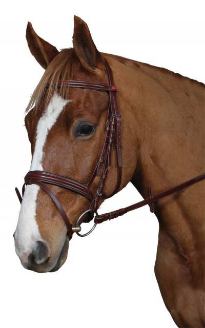 OXER Lovasbolt