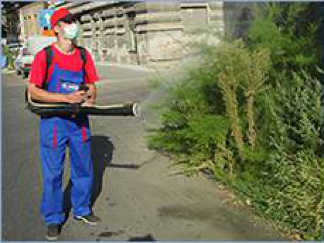 House Keeping - profesionistii curateniei