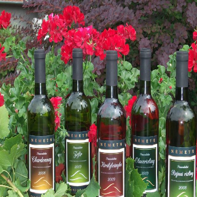 Németh Borház Pannonhalma