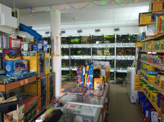 Zoomix Akvaristika szaküzlet -SERA