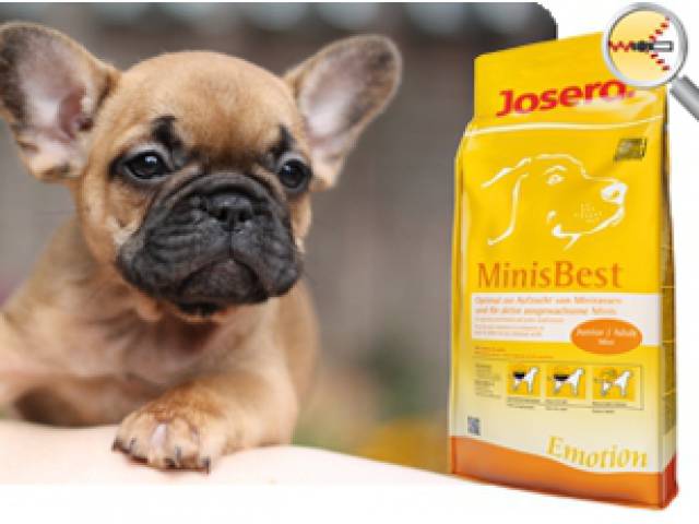 Széktói Kutyaszalon