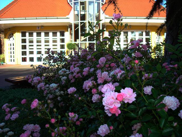 Pekárik Gumiszervíz