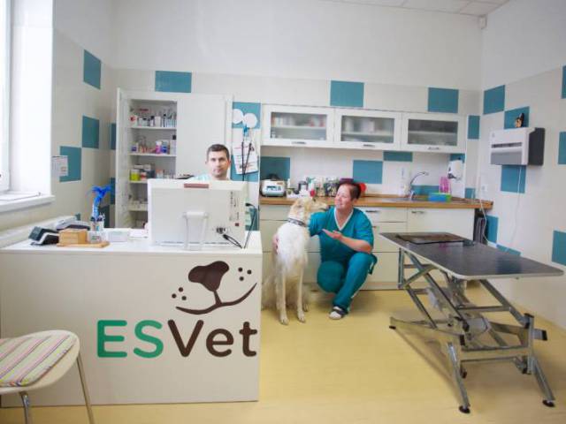 ESVet állatorvosi rendelő