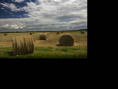 Karácsonyra a kormány váratlanul felforgatja a földpiacot