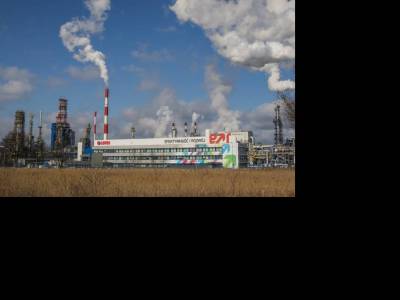 A lengyelek meglátták a piaci rést és gyorsan kihasználnák