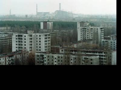 Különleges és ritka állatok tértek vissza a Csernobil körül kiürített zónába