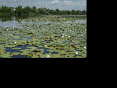 Áradt a felgyorsult Tisza, és mindent letarolt