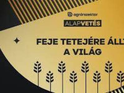 Feje tetejére állt a világ: ezt az egész gabonapiac megszenvedheti